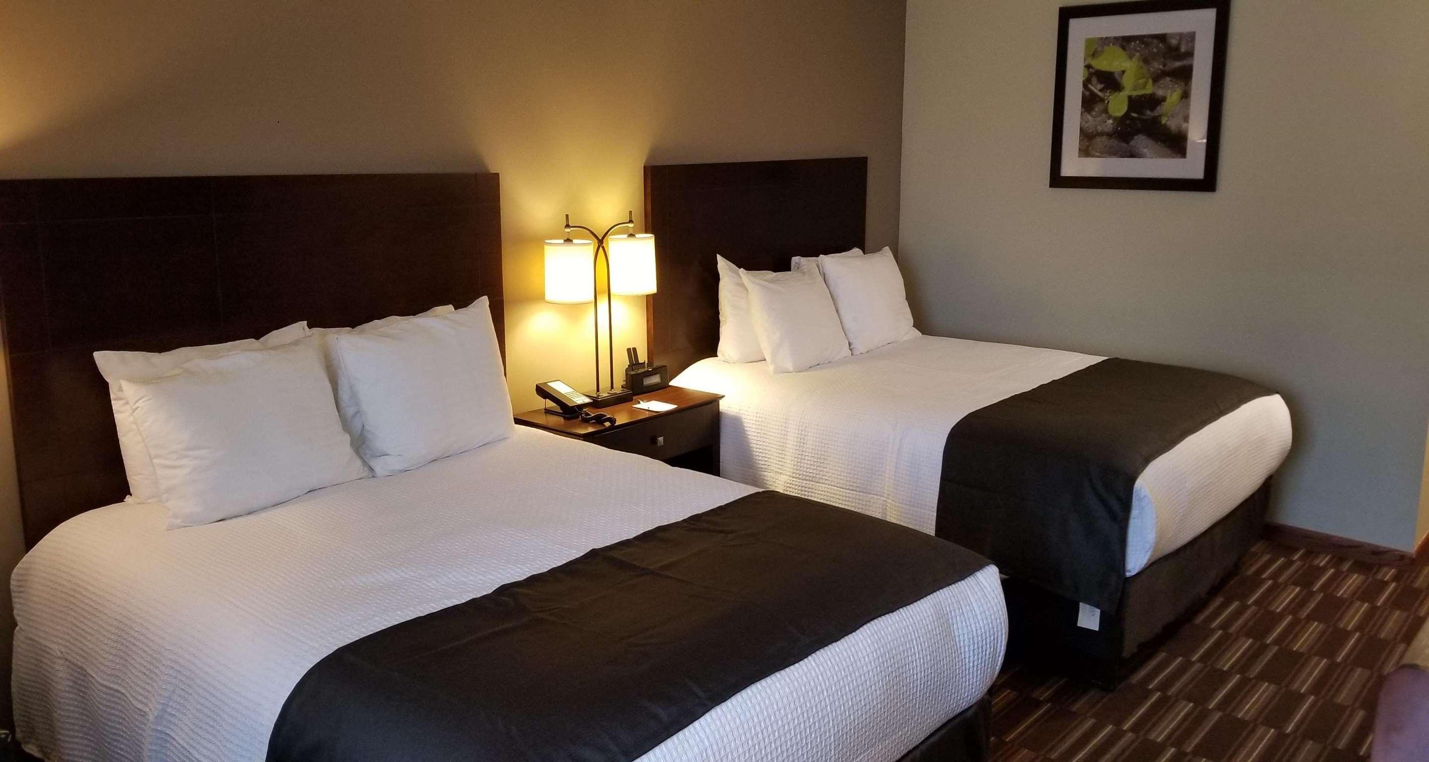 Best Western University Inn Urbana Esterno foto